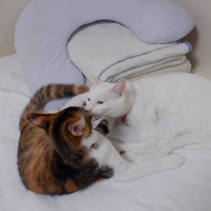 Aa7dc53b d164 4d25 8ca8 4f06d53c6036 1633482198571