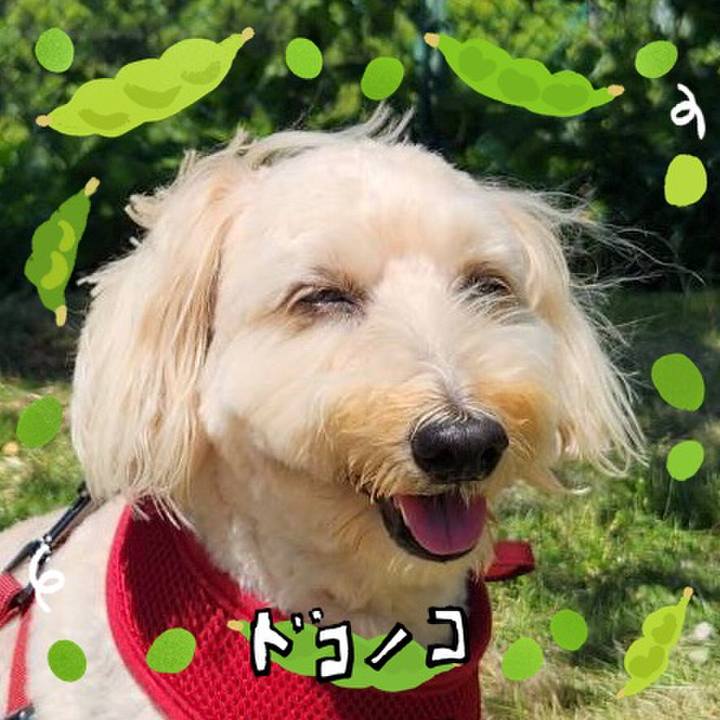 Aa7e10d1 e419 48f9 82ec 887a47dcb384 1720759416880