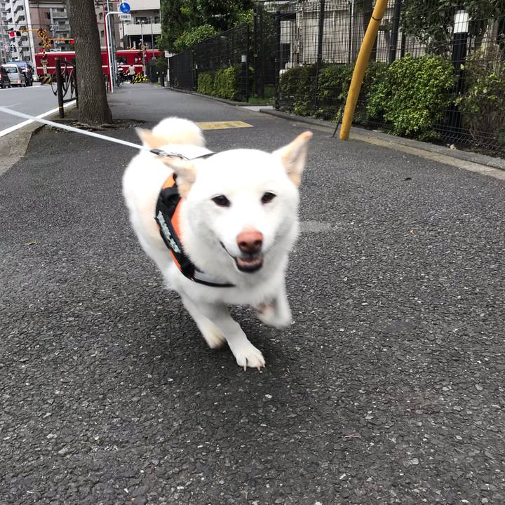 Aa7e17cb df6f 4290 a62d d68e5bcb26c9 1568329469329