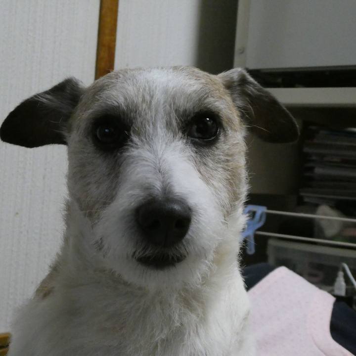 Aa7e19be 230b 4290 898e 3f95233bfe02 1587037762007