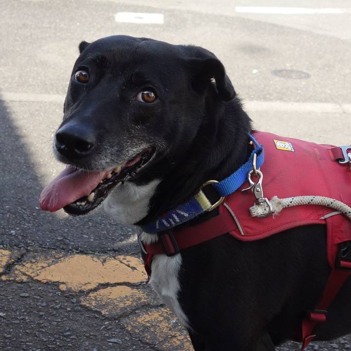 Aa7e2663 163a 4cc6 bb6c b45b06f06a40 1684629352706