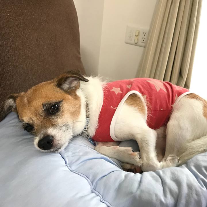 Aa7e2c14 0dc9 4762 b9cd 51807021f896 1536893107328