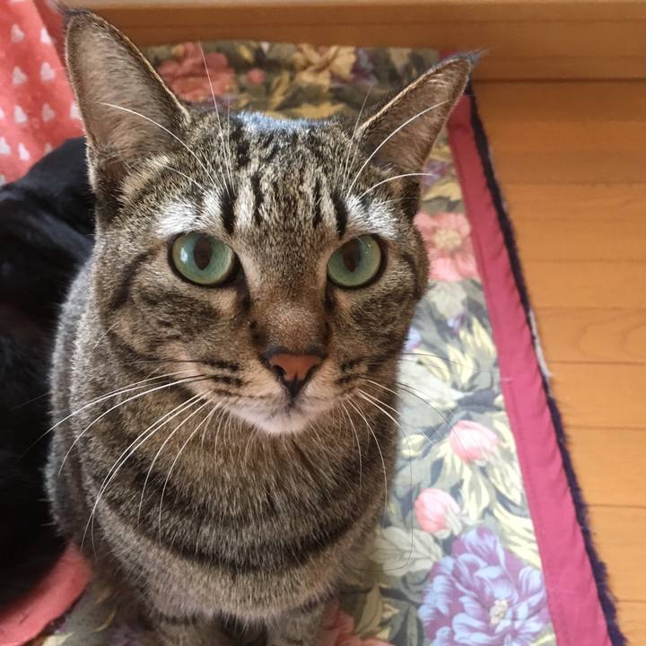 Aa7e5e92 6fbe 4608 b2a1 e34c899a8560 1508456550478