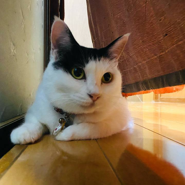 Aa7e73d8 157e 4233 b5dc 5bc1f7fdebac 1722378965974