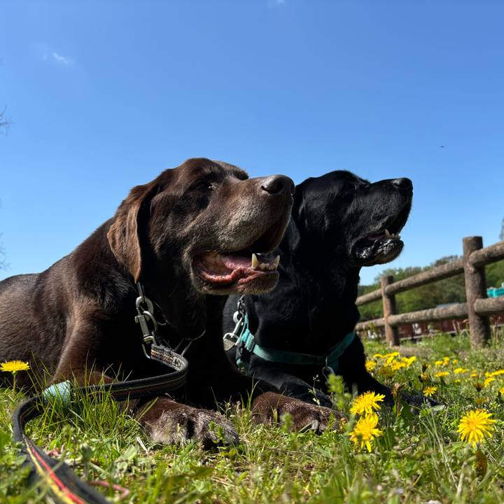 Aa7e79bd 0202 4ab5 b7cc 256d5d55ca97 1776085226350