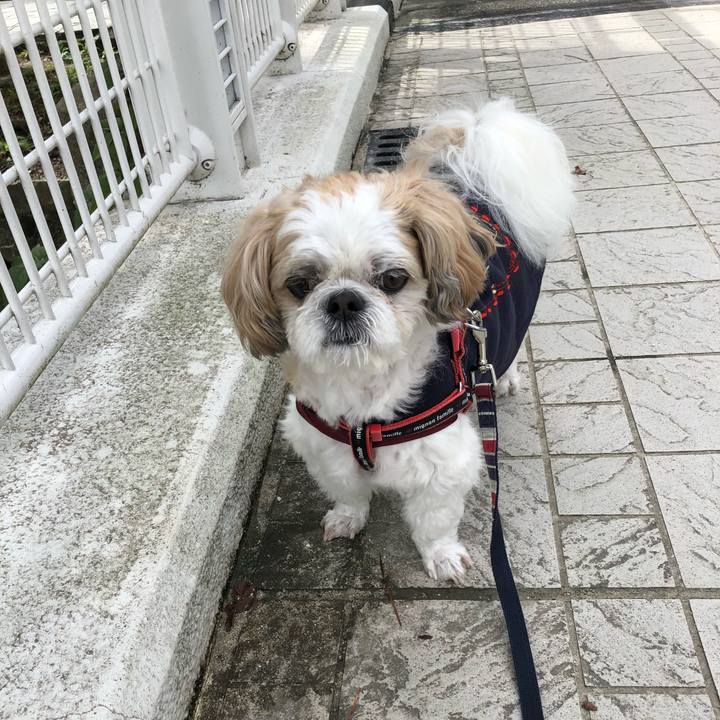 Aa7e8d40 ff3e 4a45 8fc7 029a5ad5fda0 1603748868934