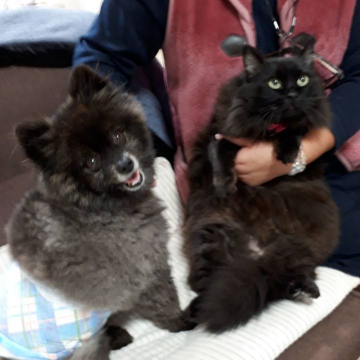 Aa7e95b1 94af 4392 8563 57cc83233c93 1542318504339