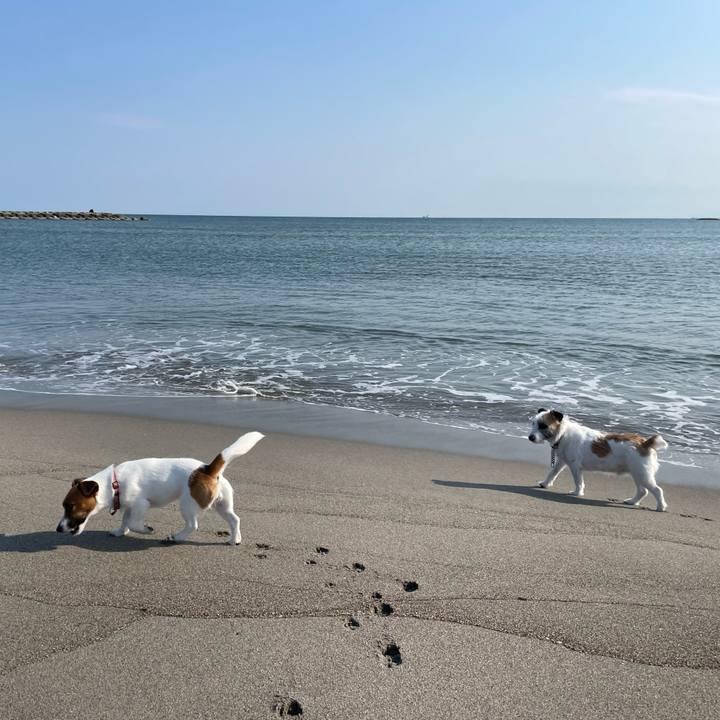 Aa7ea6bc b1d4 4699 828b 89a961bd5242 1651621564367