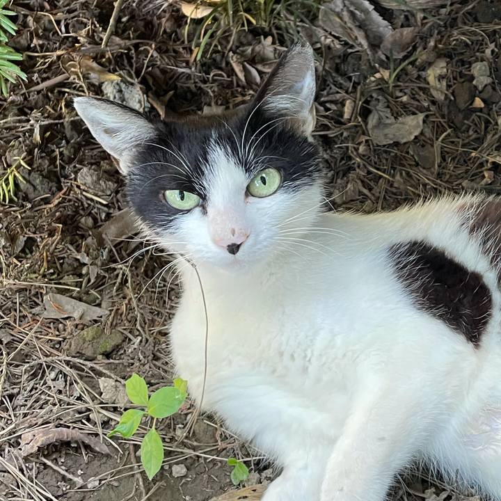 Aa7ec9cc ce61 4306 8ea1 03eb92f86a45 1626607999736