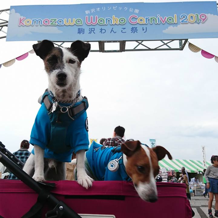 Aa7ecf02 d2b6 41e4 98af 602848ba7946 1571476989898