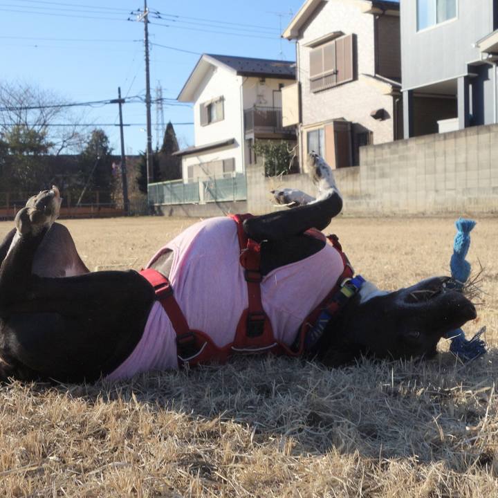 Aa7ede54 b9f4 4413 8327 e32b8994179d 1675560379552