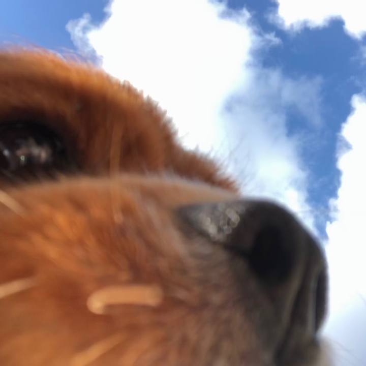 Aa7eeec1 acc1 44f4 bceb 6540677bb007 1580076261487