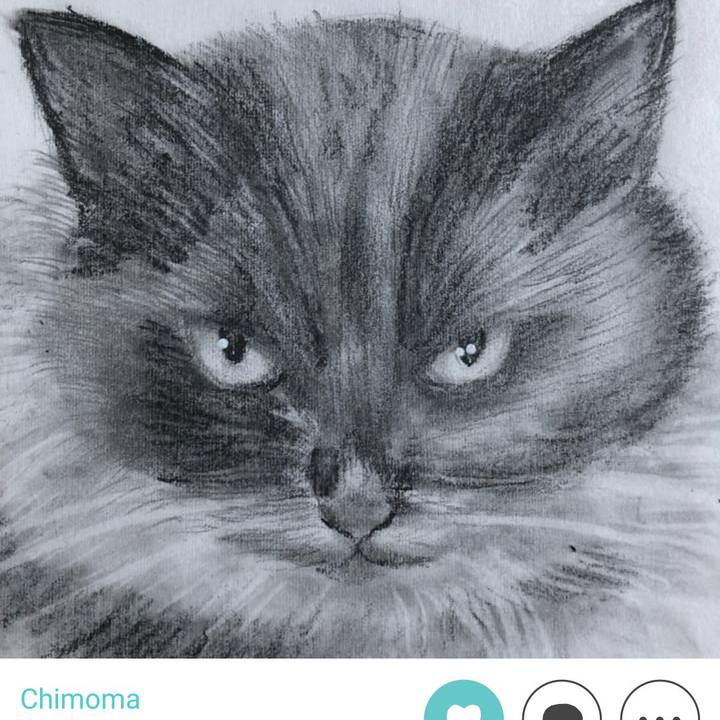 Aa7f0e4b 787b 411b a32e 9554d6deec87 1613776430078