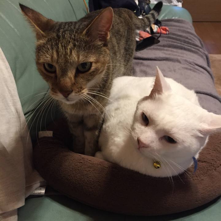 Aa7f249a ece2 49dd a778 5ca7118c95b5 1570858921231