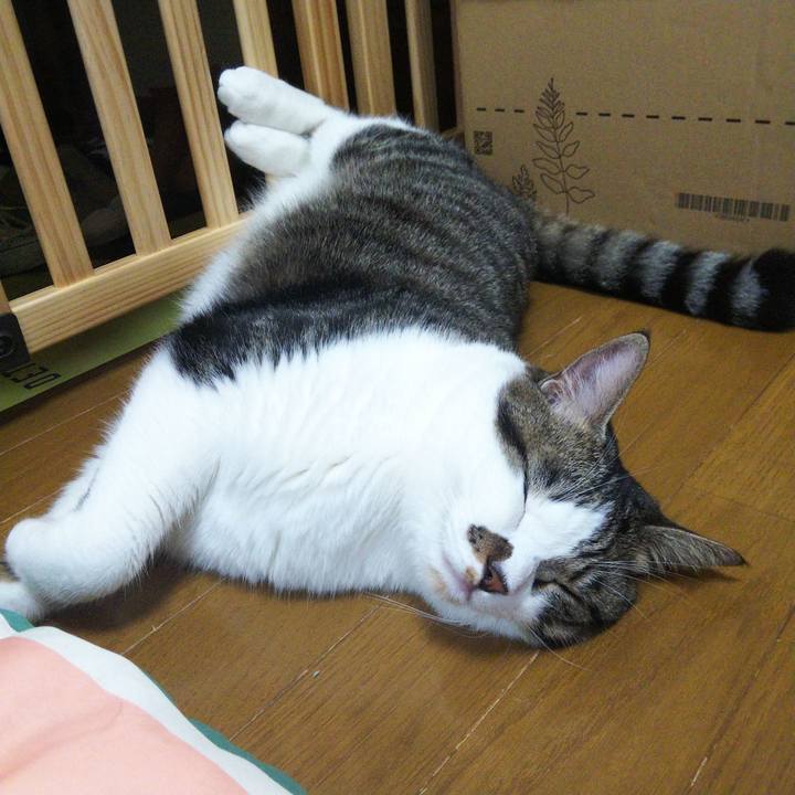 Aa7f2f23 3e22 4bf1 bdb2 76f05307eba3 1664884628400