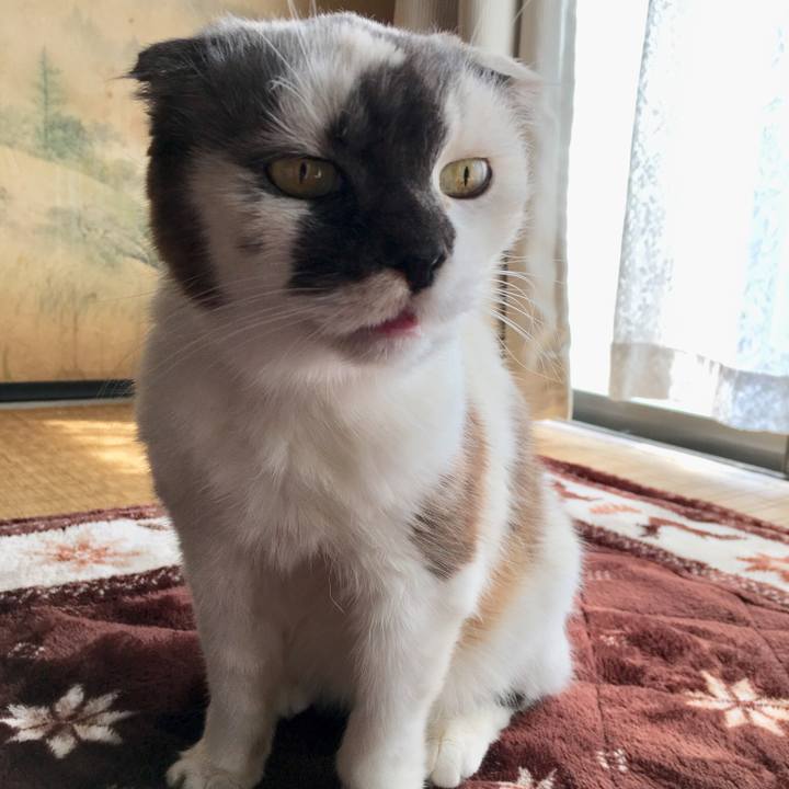 Aa7f3e26 7279 4acf a924 529ff447c305 1553656902854