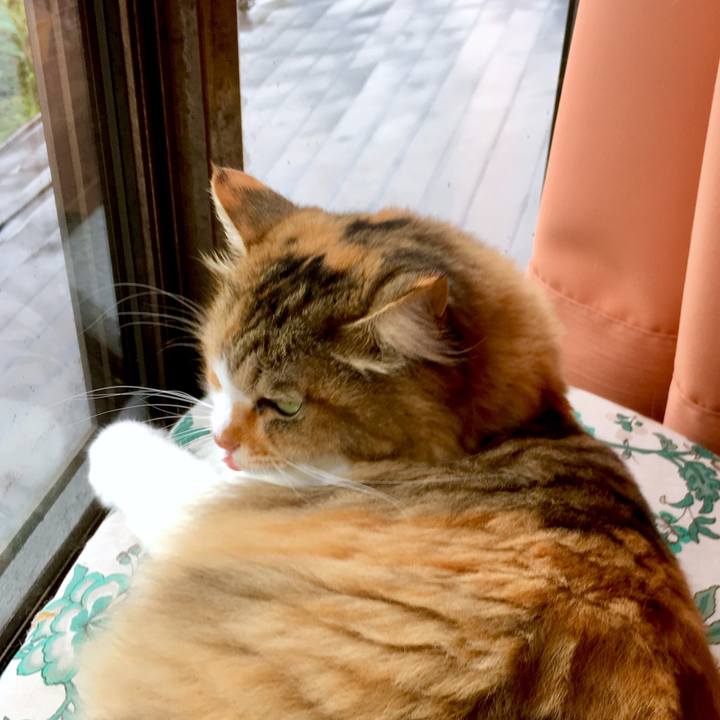 Aa7f7433 8e26 4d23 9f7d de03d006f9d9 1567998352082