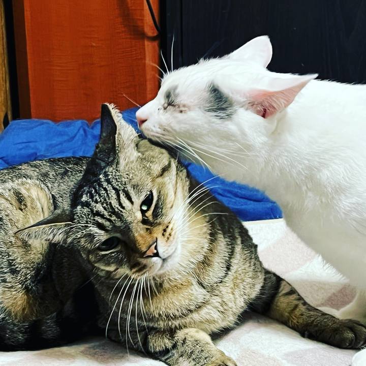 Aa7f9512 1e21 4420 94a4 967b97203132 1644414156171