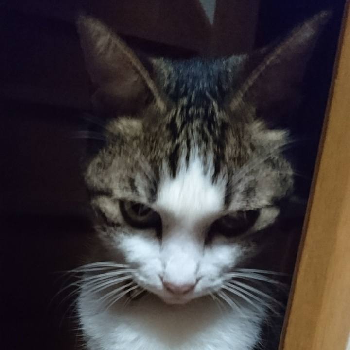 Aa7fdc78 af34 4e36 8d9b 9e954681be4d 1542622362942