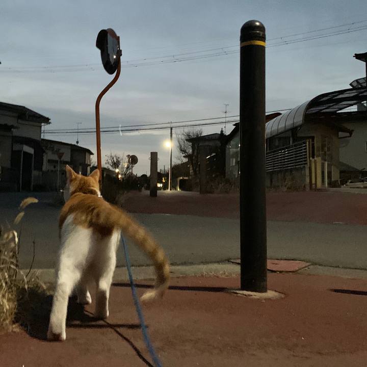 Aa802dd8 db61 406d acd1 65b898212444 1578392721275