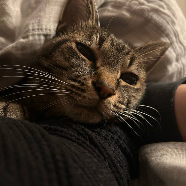 Aa804336 7a62 4a8c 87f3 f6cc8cc70b8c 1761054674101