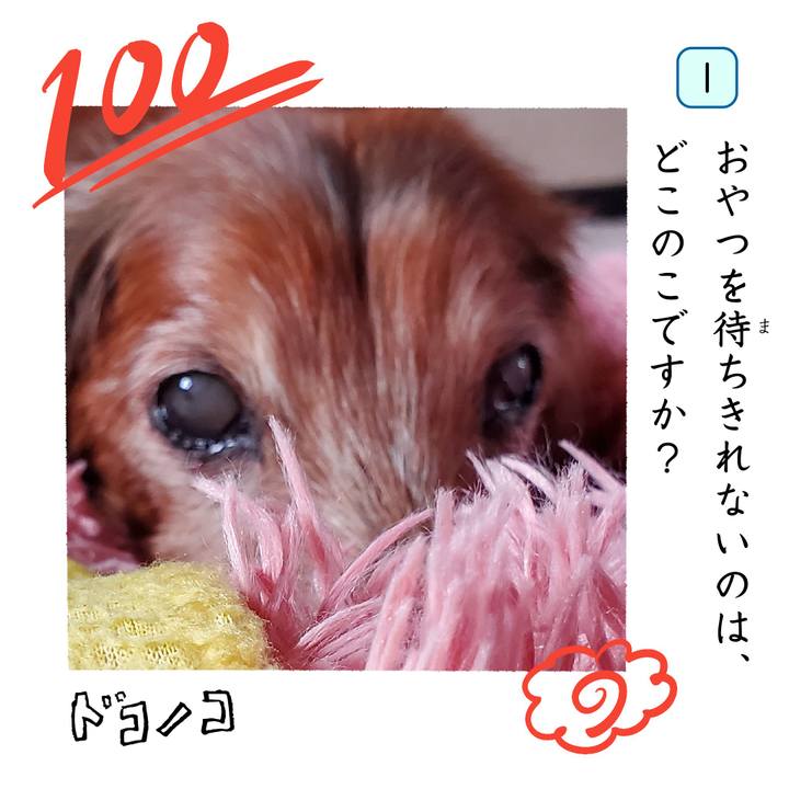 Aa808754 39f6 4a70 84c5 d351b54c1320 1744349055039