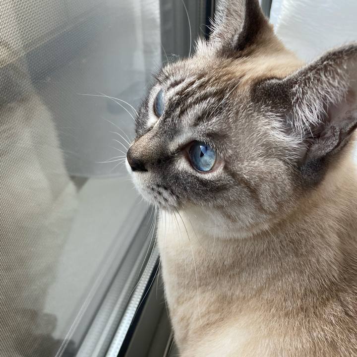 Aa8088d0 641c 4228 bd11 14cd6a1450dd 1768100150820