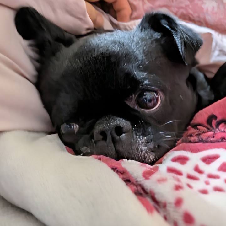 Aa8092c9 59a6 449a 930f 7dbe5abfe170 1773233347081