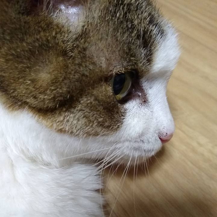 Aa80a708 0e42 44db 8f67 a9e464ed8e51 1569755233572