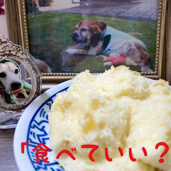 Aa80bbdf f867 48c7 9955 cc0d9c97639d 1691932082376