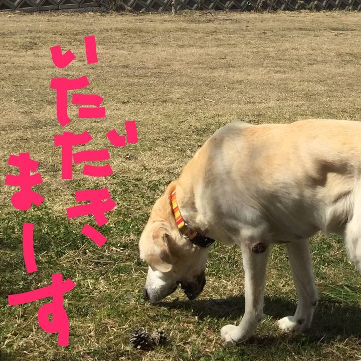 Aa80c067 2e77 4a3d b626 26aaf24912d3 1522815752869