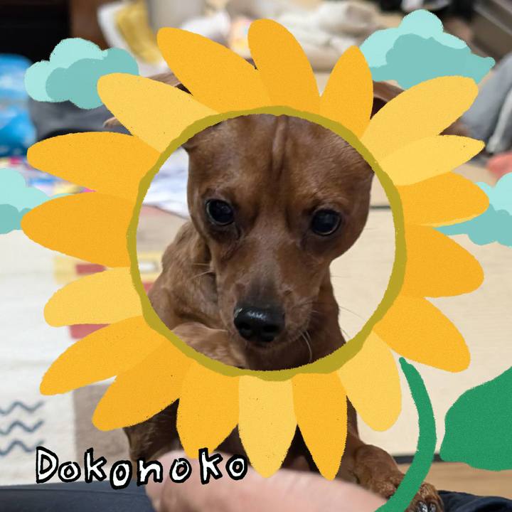 Aa80ea3e 74a7 48d9 90c0 4db5eb6e06ea 1723427486985