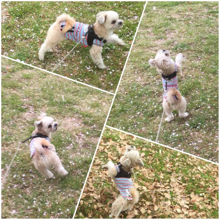 Aa810755 d53e 40a6 a200 3b8c7dc3a3f2 1555229599472