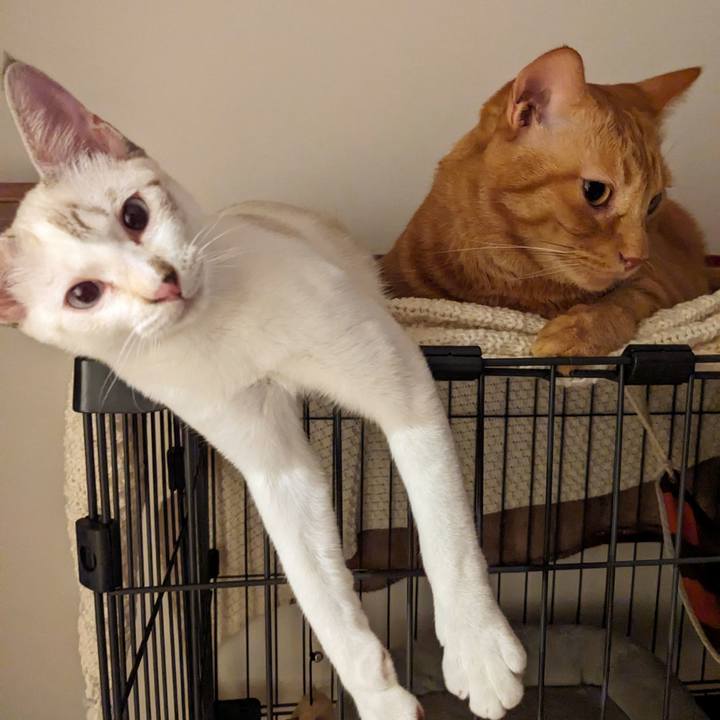 Aa811494 8de3 4ec3 a045 c3fd0ec2d281 1694435368152