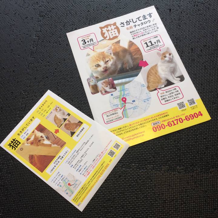 Aa811633 8e09 440b a8de ca30380b5efa 1568518068912