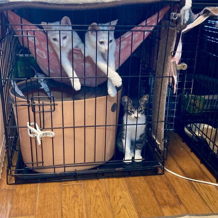 Aa811be4 26c7 4c19 9101 e6554e88fad2 1689379474898