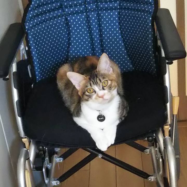 Aa8126a4 9eae 4b04 bf78 e7215d3721e0 1638681477322