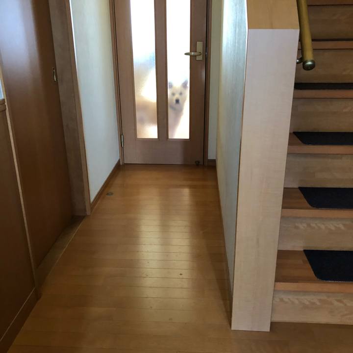 Aa8127ac dcb3 45e8 9f11 7d1e18065a08 1582790049580