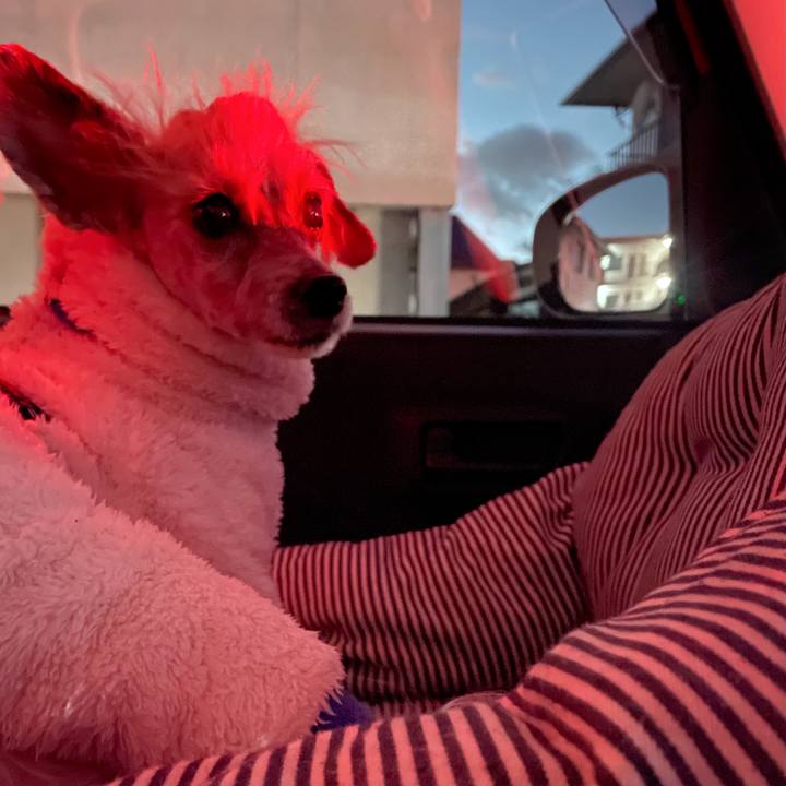 Aa814a60 8195 4102 add5 c8f2780e8dd7 1769077255418