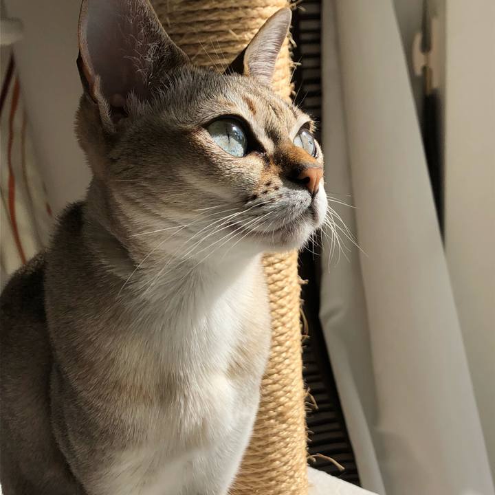 Aa816752 2184 415f 9bb4 57e1a0260b10 1520773310280