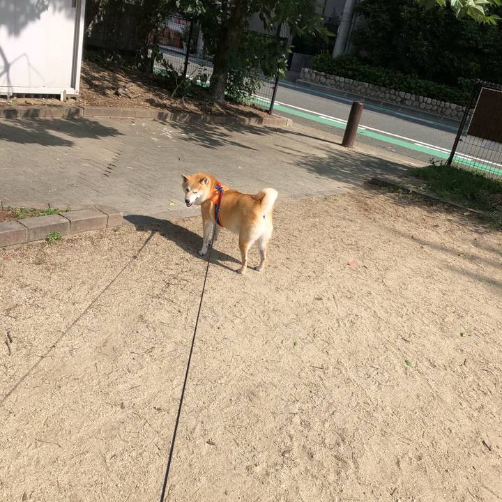 Aa817994 9e9a 420f 97a4 eb14bc894035 1562760440146