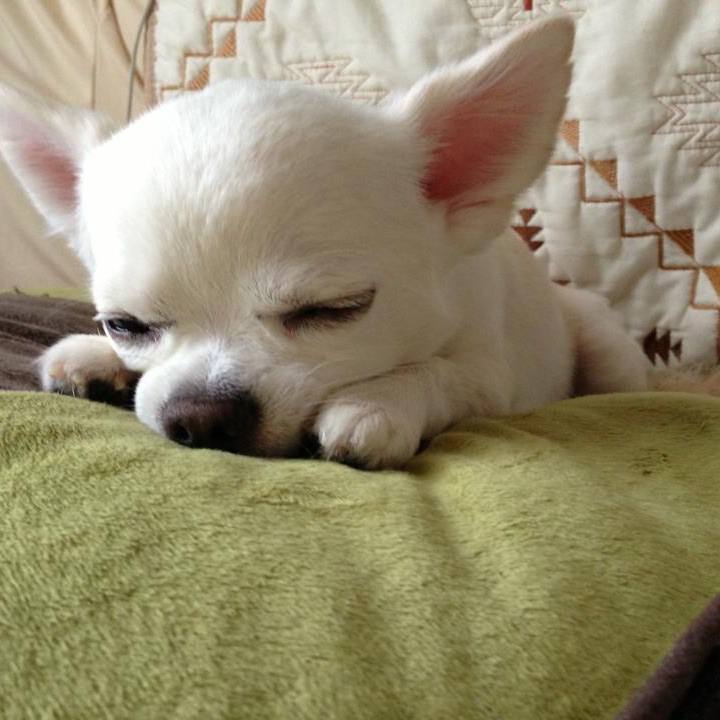 Aa819620 cd7a 49a9 82a1 85545f1c1e3a 1534581821520