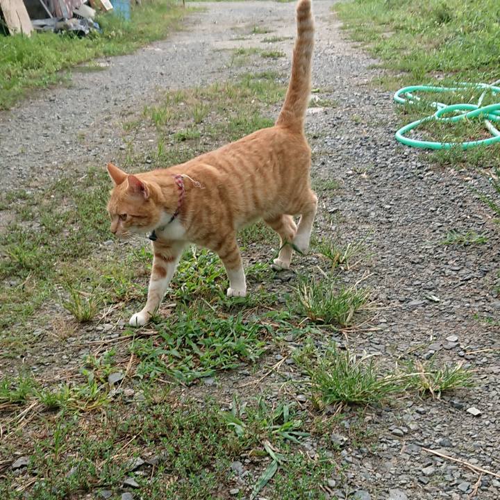 Aa81b4ff 5f9e 4f63 99bb 07c98962fe92 1566080818990