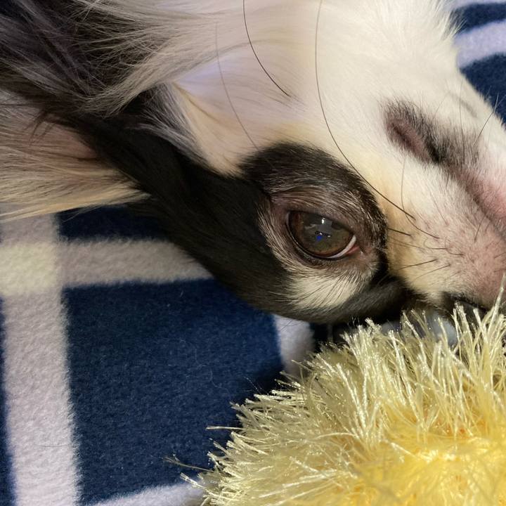 Aa81c21d 9a4d 4d6e 8cd1 30ffd05f81f9 1612096965594