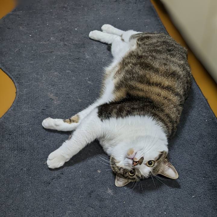 Aa81df44 879b 49f0 9f4e a4524743dfa6 1669637611303