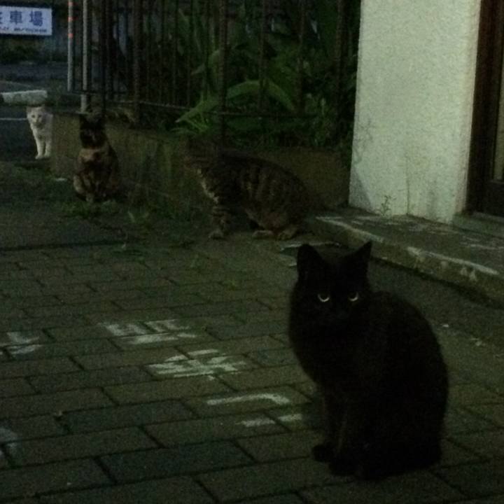 Aa8207e9 29fa 4b6b a8e9 f1bef83e1822 1546876972433