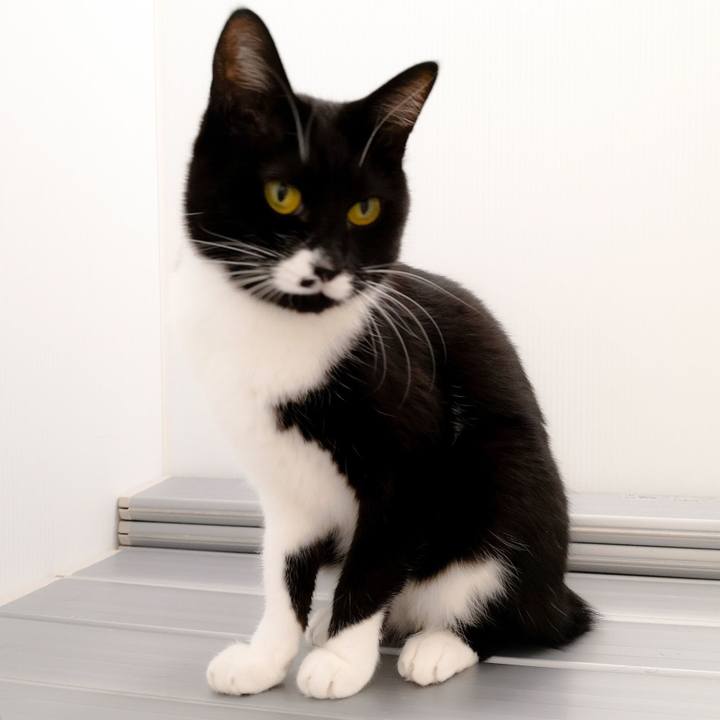 Aa821f16 fc00 4212 b767 acf85f449f00 1545925580089