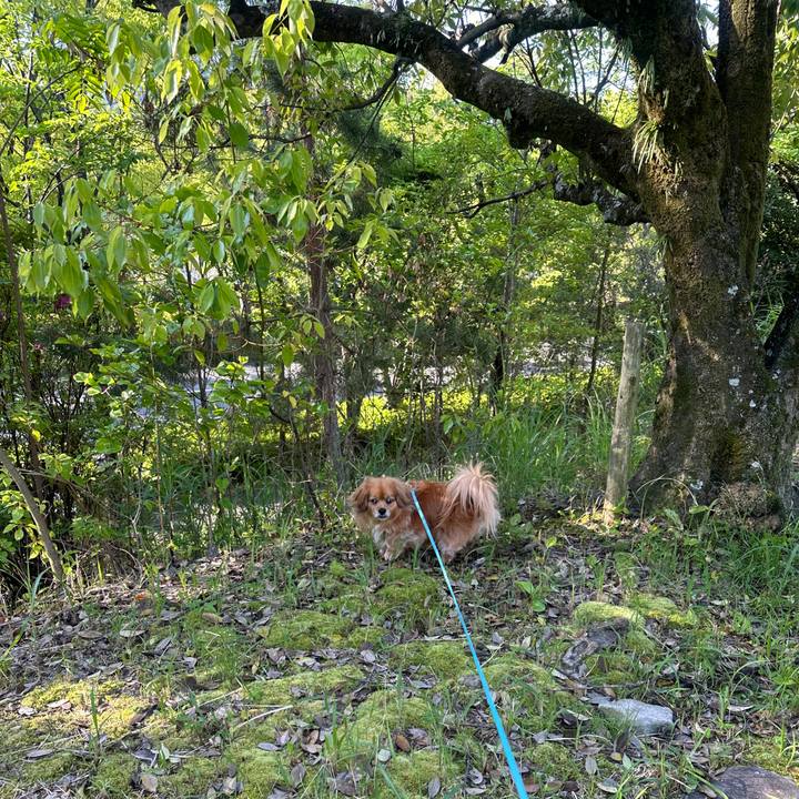 Aa8238f5 0aa3 4b6d ac80 6f9f2daf5513 1682980161917