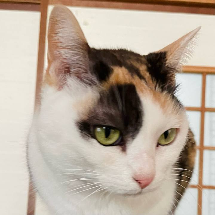 Aa8267a0 6a51 440e 93ea ba4b2722950c 1648863335543