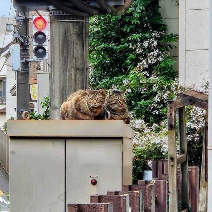 Aa826a57 c523 4b83 8552 9bb66f766fd7 1745817100287